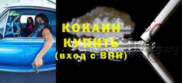 СК Алексин