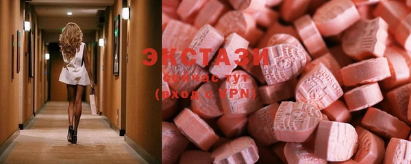 СК Алексин