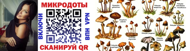 Псилоцибиновые грибы ЛСД Бирск