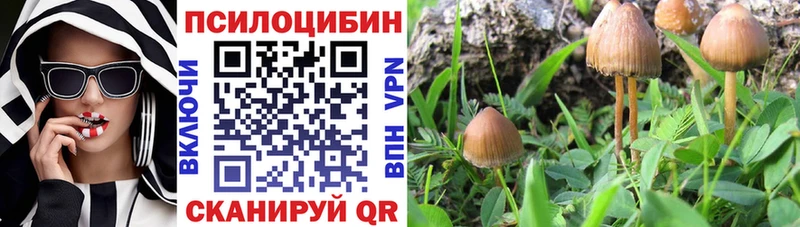 Псилоцибиновые грибы ЛСД Бирск